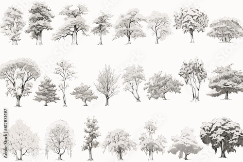 tree sketches  silhouette tree vector element