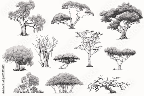 tree sketches, silhouette tree vector element