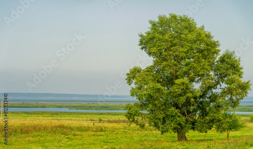 Summer landscape. River in the European part of the world. Sunny warm day. Green trees, grass. Blue sky with a small cloud cover.