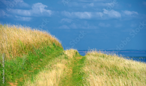 Summer landscape. River in the European part of the world. Sunny warm day. Green trees  grass. Blue sky with a small cloud cover.