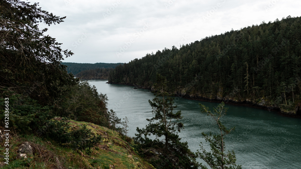 Fototapeta premium River running amongst the trees at Deception Pass