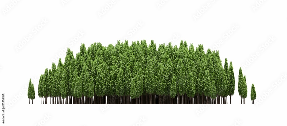 group of trees isolated on a white background, big trees in the forest, 3D illustration, cg render
