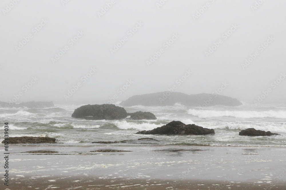 A foggy and cloudy day on the shores of the Pacific Ocean.