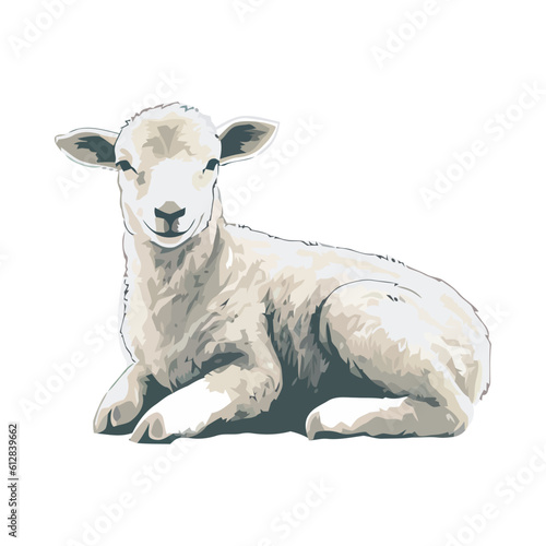 Cute lamb farm animal