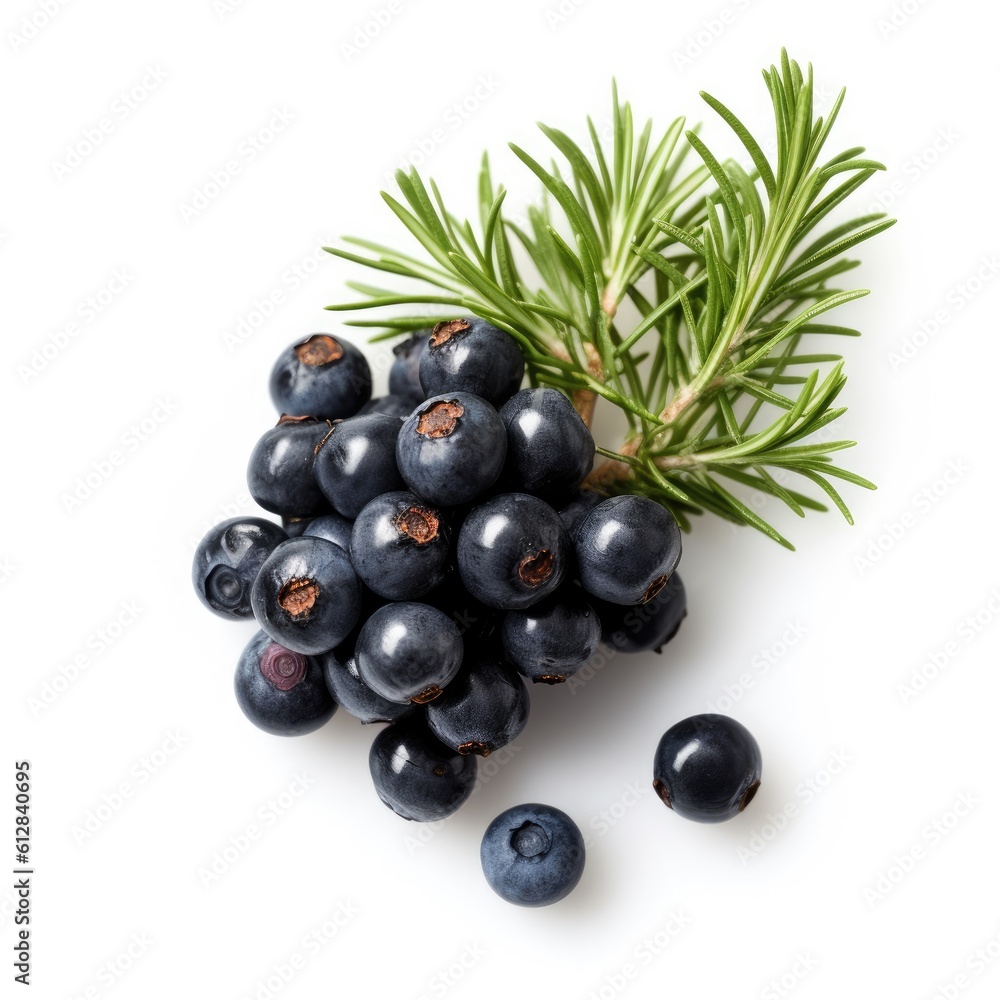 Foto Juniper berries isolated on white background. Generative AI