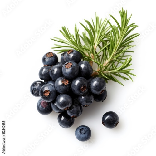 Juniper berries isolated on white background. Generative AI