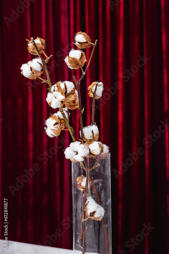 Cotton branches in a glass vase