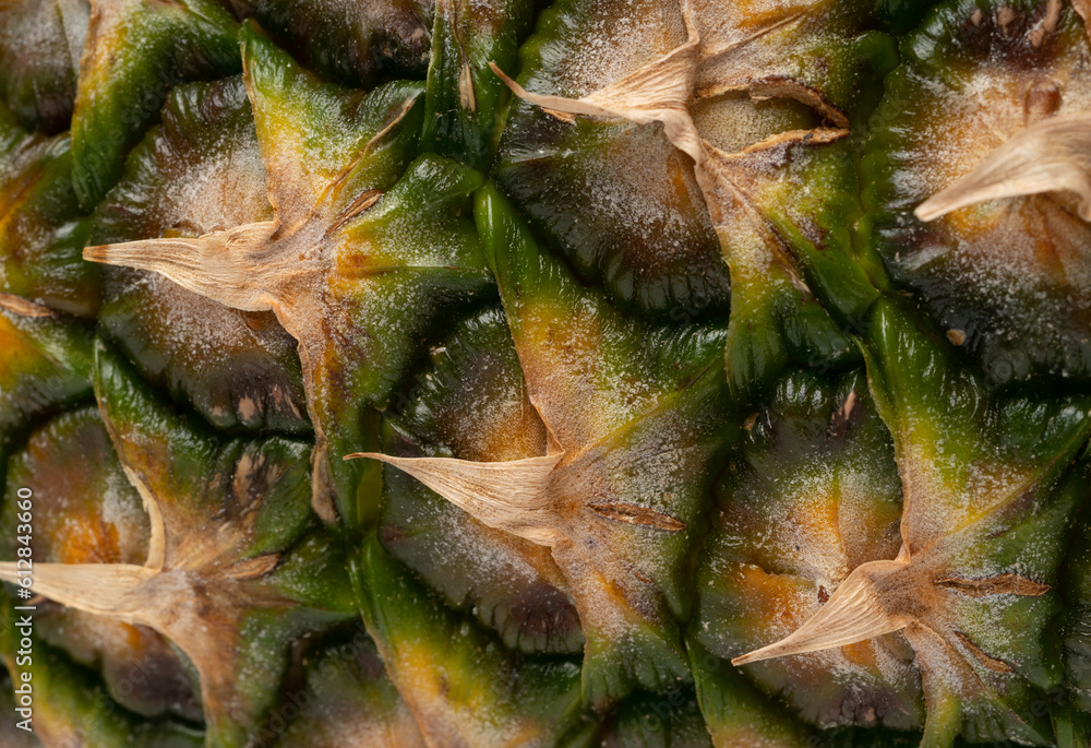 Pineapple Skin Texture Background, Ananas Pattern, Comosus Tropical Fruit Banner, Ripe Pine Apple Mockup Pineapple Skin Texture Background, Ananas Pattern, Comosus Tropical Fruit Banner, Ripe Pine Apple Mockup
