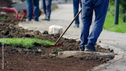 Man city worker grinds and level soil with rakes before lawn laying in city park. Male works near sidewalk crop body blurred background