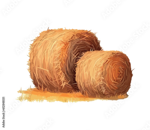 Farm bale hay isolated