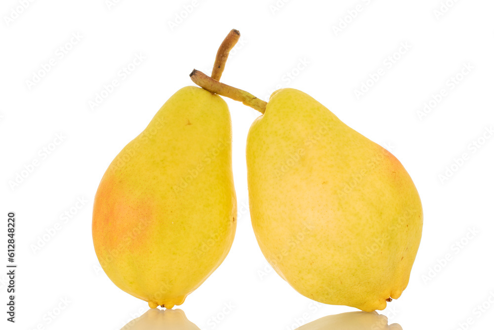 Two bright yellow pears, macro, isolated on white background.