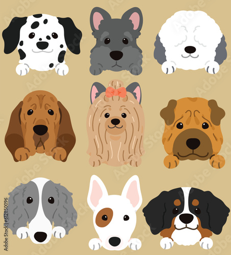 Set of flat colored cute and simple dog heads with front paws