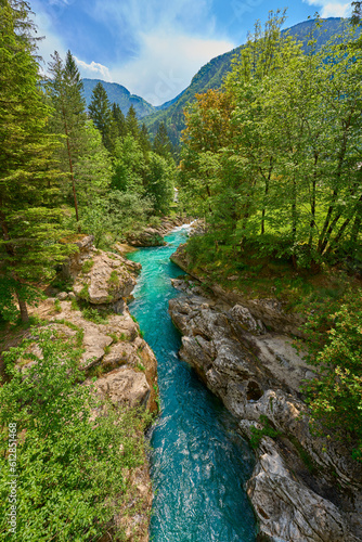 Bild auf Leinwand wild canyon with cristal clear turquoise water in the Soca valley, Trigalv Natio