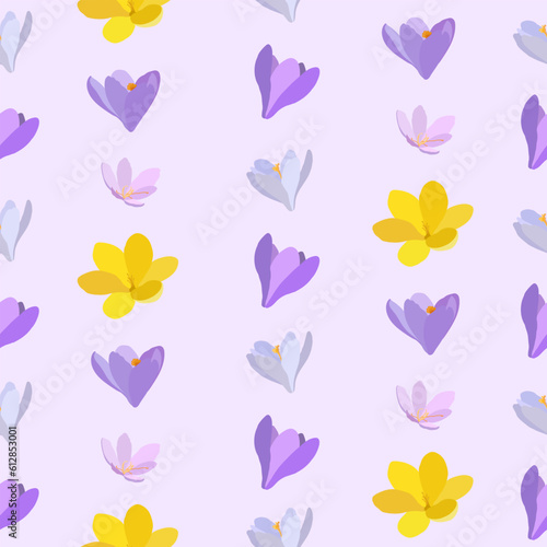 Collection of crocuses and saffrons. A set of spring purple, yellow and white crocuses. Vector illustration of beautiful multicolored flowers