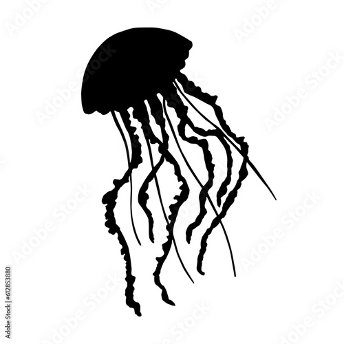Black silhouette of a jellyfish isolated on a white background. A sea animal drawn by hand.