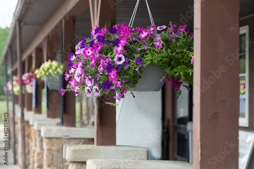 balcony with hanging flowers in region