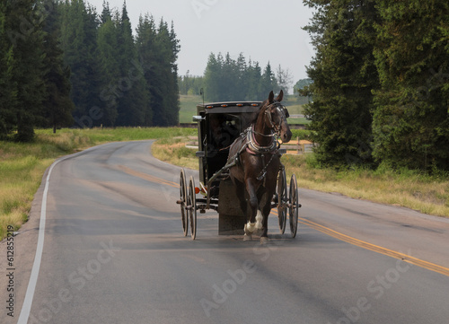Amish Buggy with horse in the country © Mike
