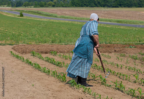 Amish woman working in the garden