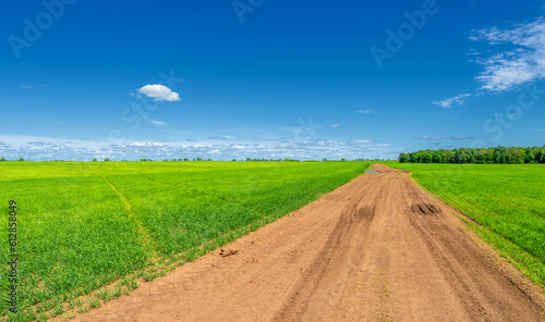 Spring photography, landscape, dirt road or path made from the earth's surface through which it passes photo