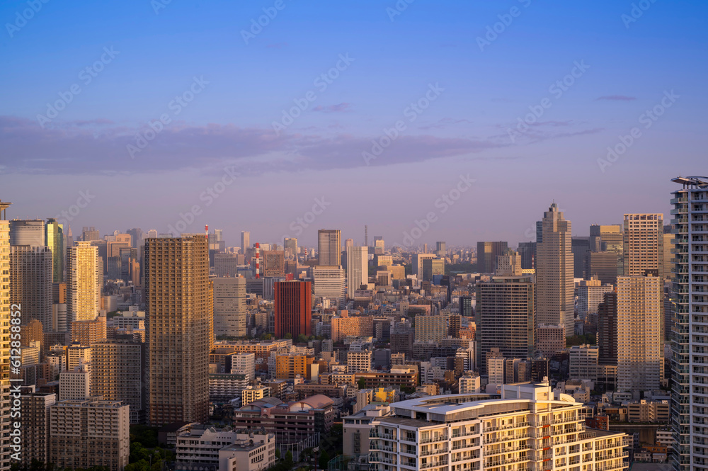 Fototapeta premium Cityscapes of tokyo sunset winter, Skyline of Tokyo, office building and downtown of tokyo in minato, Japan, Tokyo is the world's most populars metropolis and centers for world business.