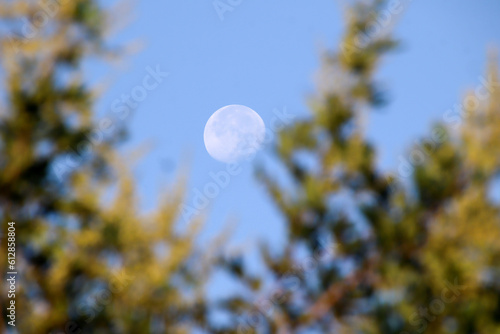 moon in the sky