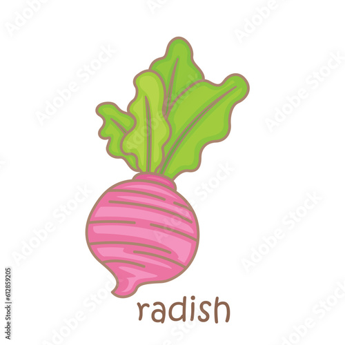 Alphabet R For Radish Vocabulary School Lesson Word Cartoon Illustration Vector Clipart