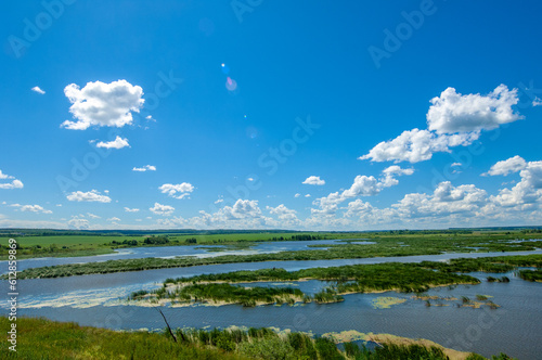 summer photography  a river overgrown with reeds  blue sky with white clouds  blue water covered with duckweed  river floodplain  sultry summer day