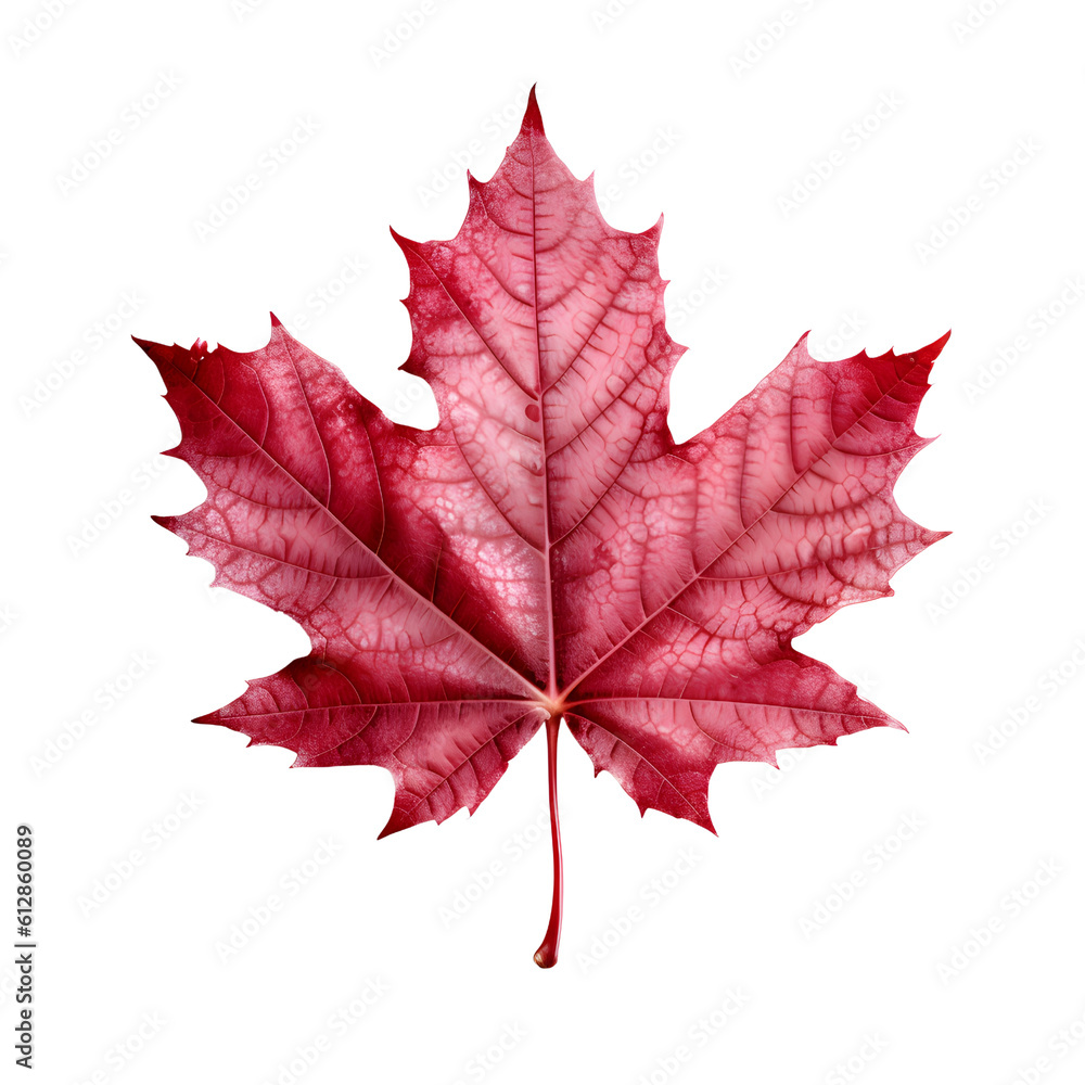 Red maple leaf, fall autumn icon, generative ai generated Red maple leaf, fall autumn icon, generative ai generated
