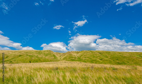 Summer landscape, river floodplain, picturesque shores, bright green grass with wild wildflowers, blue sky with white clouds, summer tender warm days,