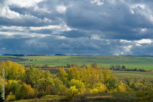 Autumn landscape photo. Mixed forests  meadows  ravines  cloudy sky  wonderful season.