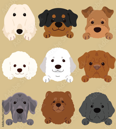 Set of flat colored cute and simple dog heads illustrations wit front paws