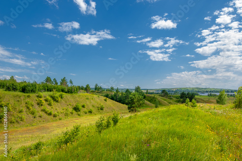 Summer landscape, river floodplain, picturesque shores, bright green grass with wild wildflowers, blue sky with white clouds, summer tender warm days,