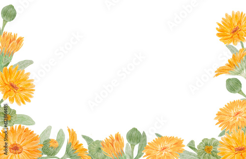 Frame of orange calendula officinalis. Watercolor hand drawn illustration. Botanical painting for labels, eco goods, textiles, natural herbal medicine, healthy tea, cosmetics and homeopatic remedies.