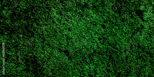 spooky dark green cement wall background. for design use