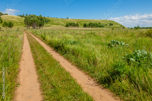 Summer landscape  river floodplain  picturesque shores  bright green grass with wild wildflowers  blue sky with white clouds  summer tender warm days 