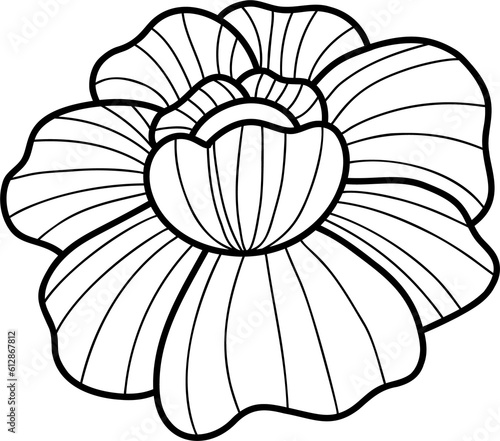 Big flower hand drawing sketch