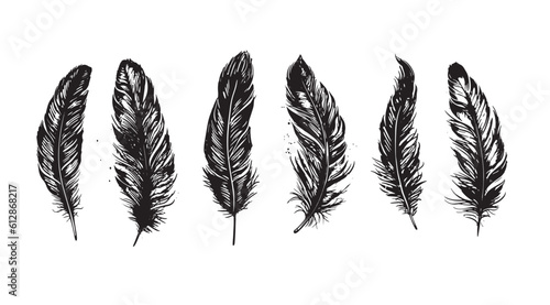 Hand drawn feather on white background	

