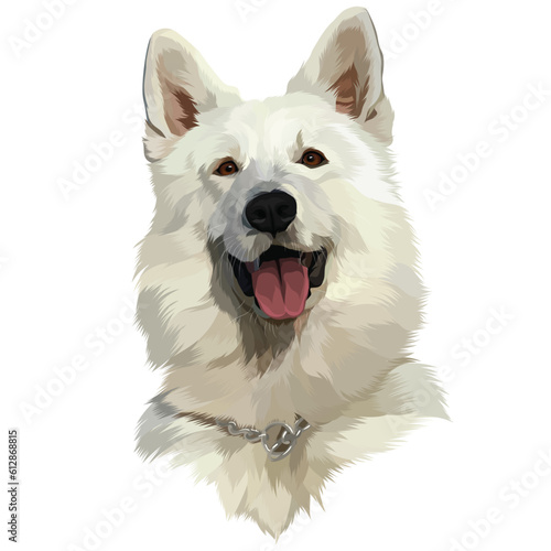 portrait of a white mountai dog