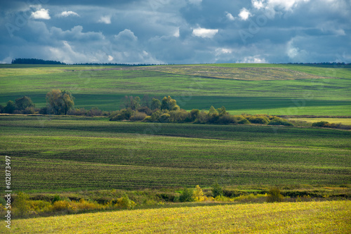 Autumn landscape photo. Flat flora of Europe. Meadows, ravines, thickets, open deciduous or mixed forest. Meadows in September