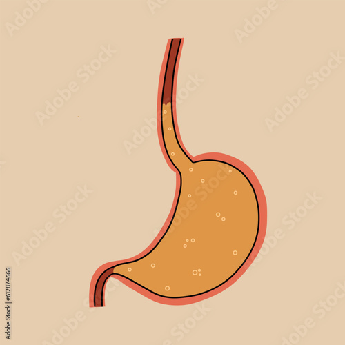 Stomach with gastric juice. Heartburn symptom. Vector illustration.
