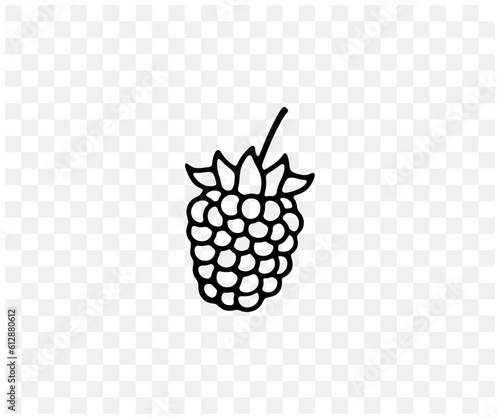 Blackberry, bramble, dewberry, plant and food, linear graphic design. Berry, berries, fruit and meal, agriculture and agricultural, vector design and illustration
