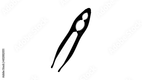 nut cracker silhouette