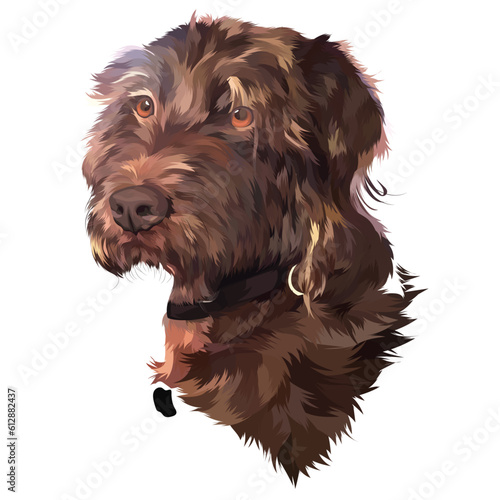 portrait of a dog