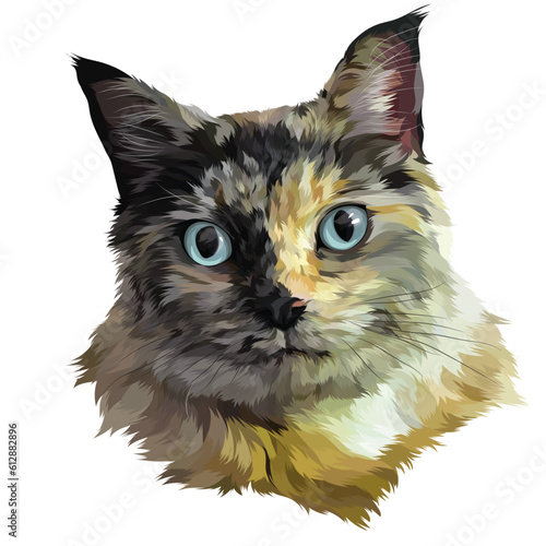 cat on white