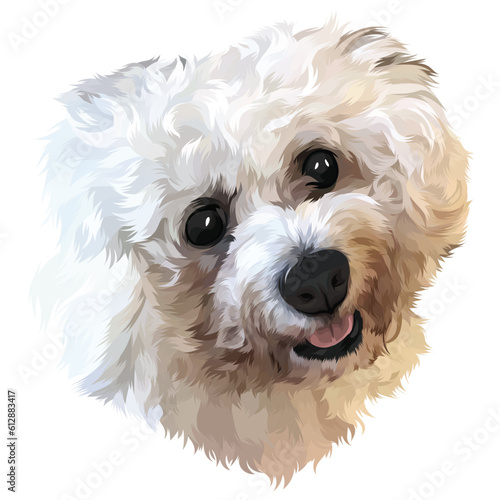 white dog