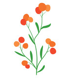 simple flat flower branch yellow orange