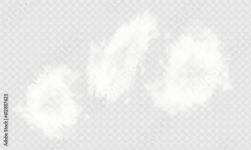 A transparent special effect is highlighted by fog or smoke. White cloud vector, snow storm. Glitter of stars through a snowy haze.