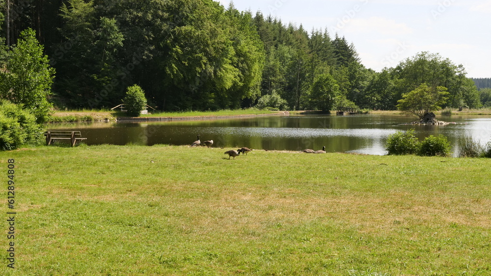 Obraz premium Freizeitanlage am Schillinger See