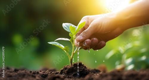 The concept of caring for a plant with one hand in a green background, natural plant seeding and growth.