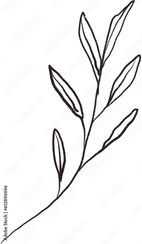 Naklejka premium Flower line art